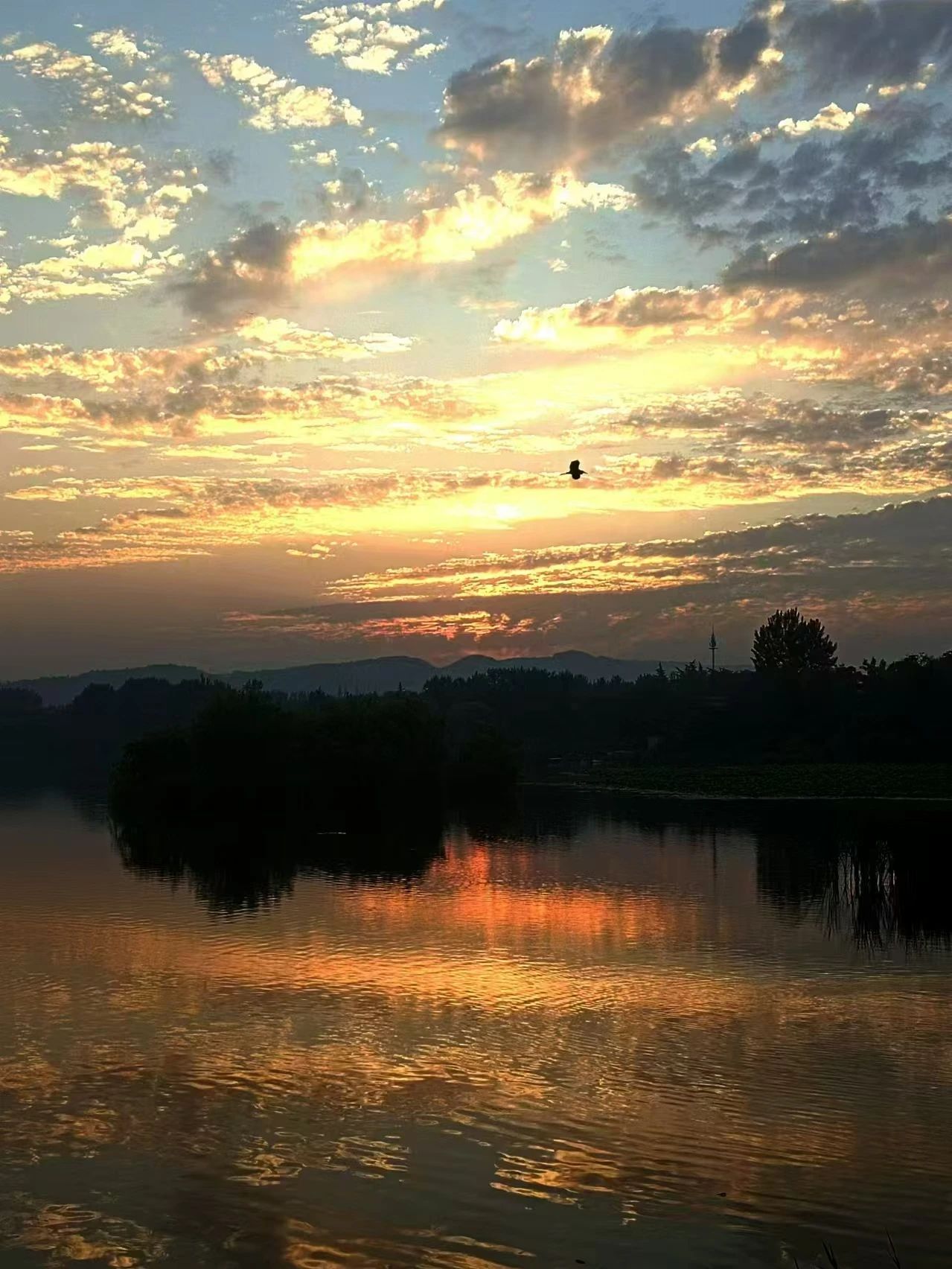 2003网站太阳集团