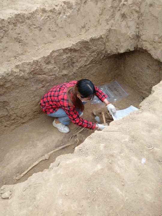 2003网站太阳集团