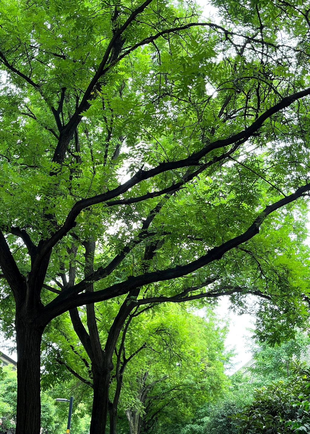 2003网站太阳集团