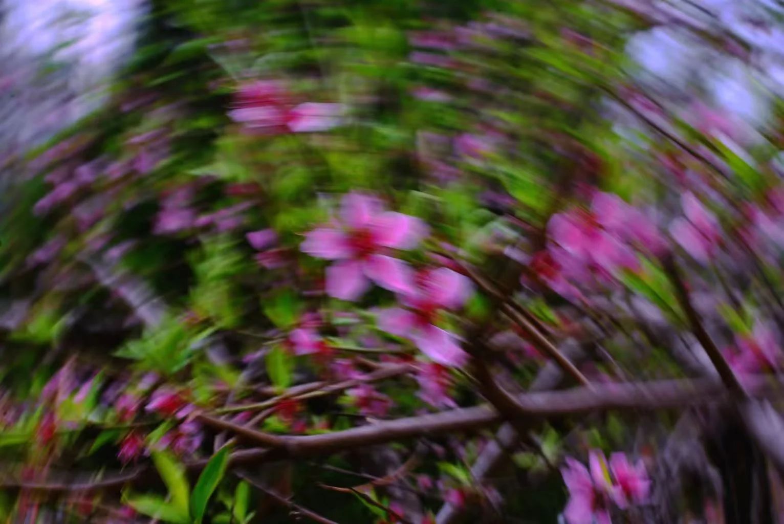 2003网站太阳集团