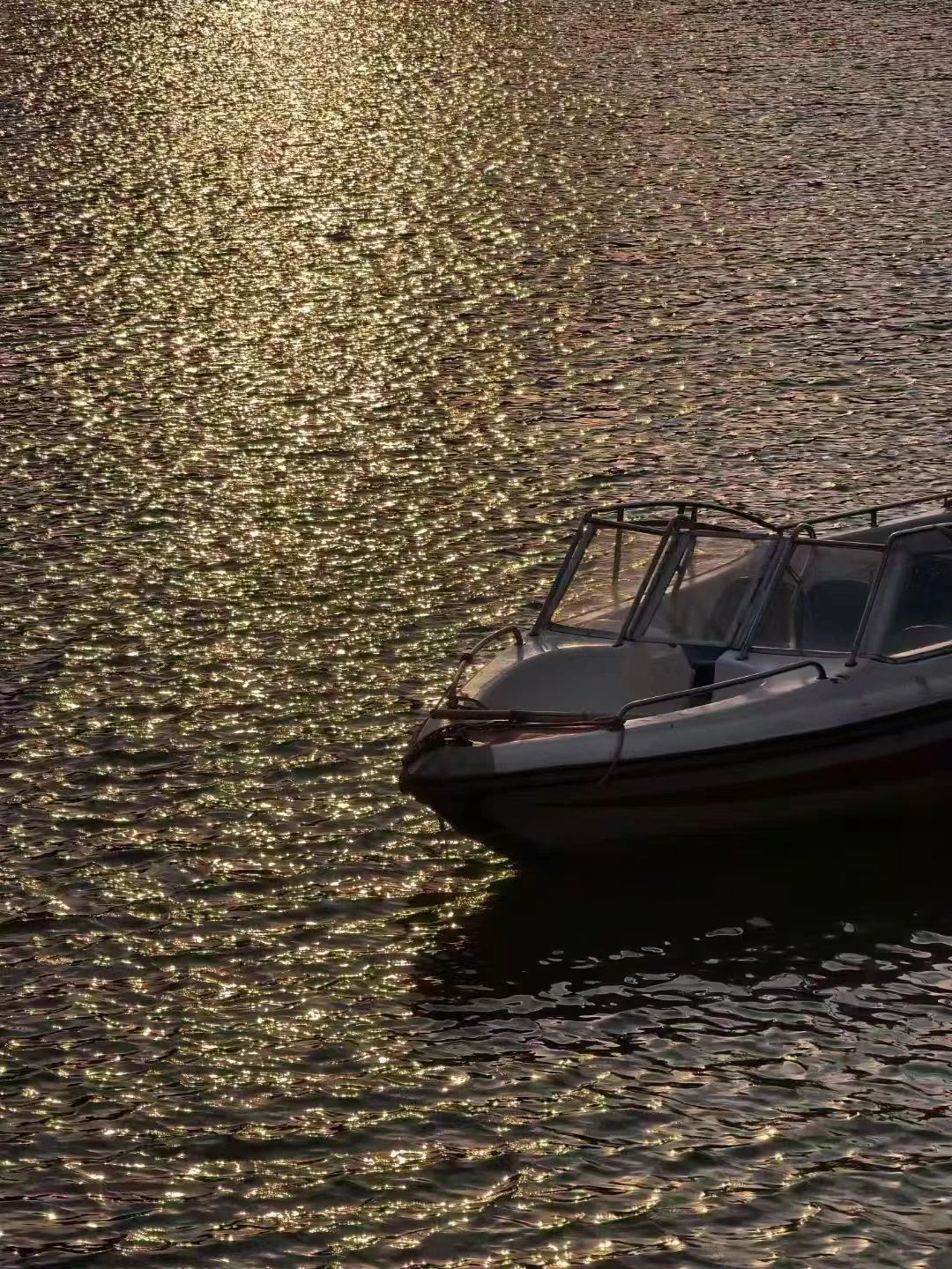 2003网站太阳集团