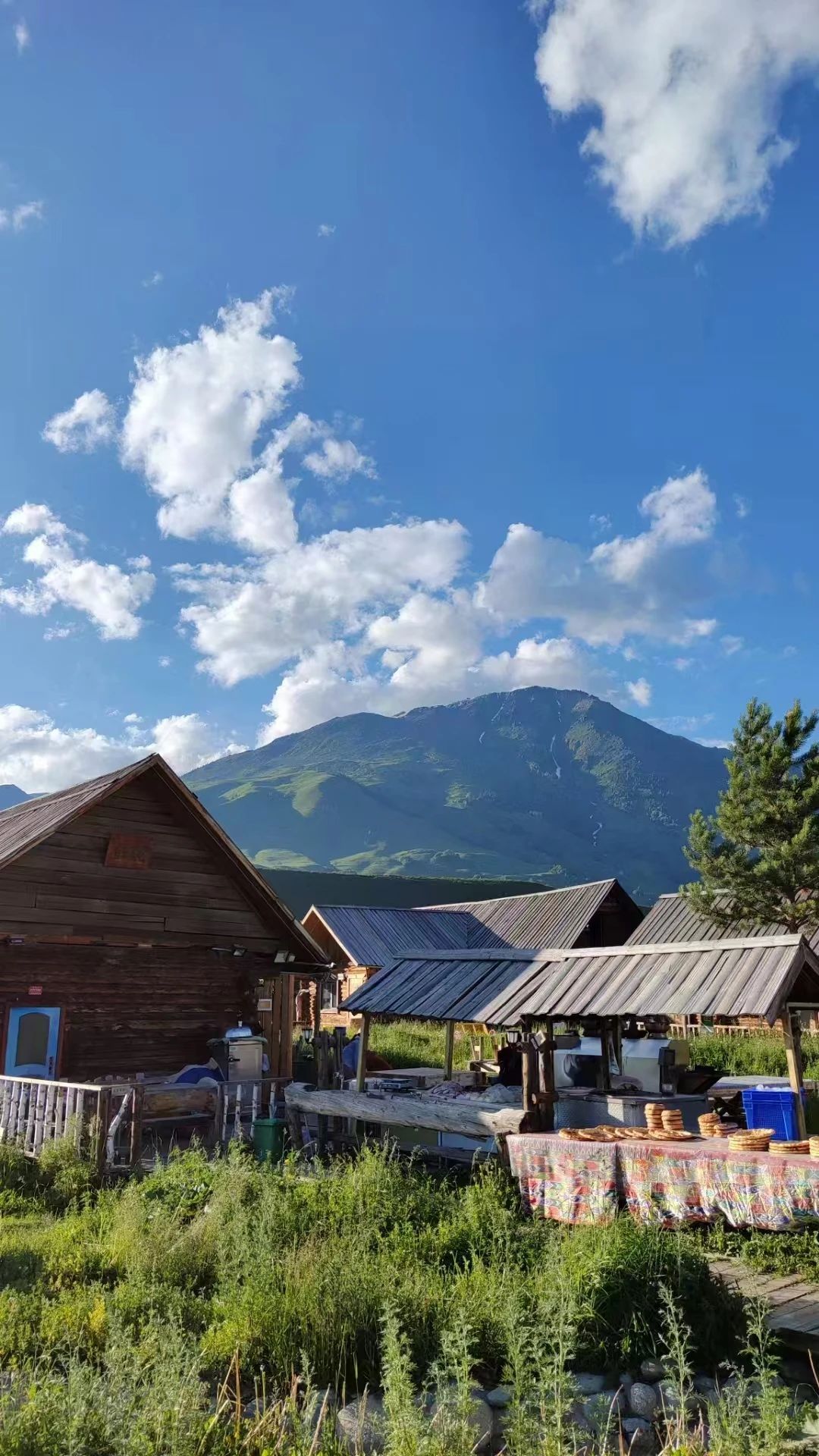 2003网站太阳集团