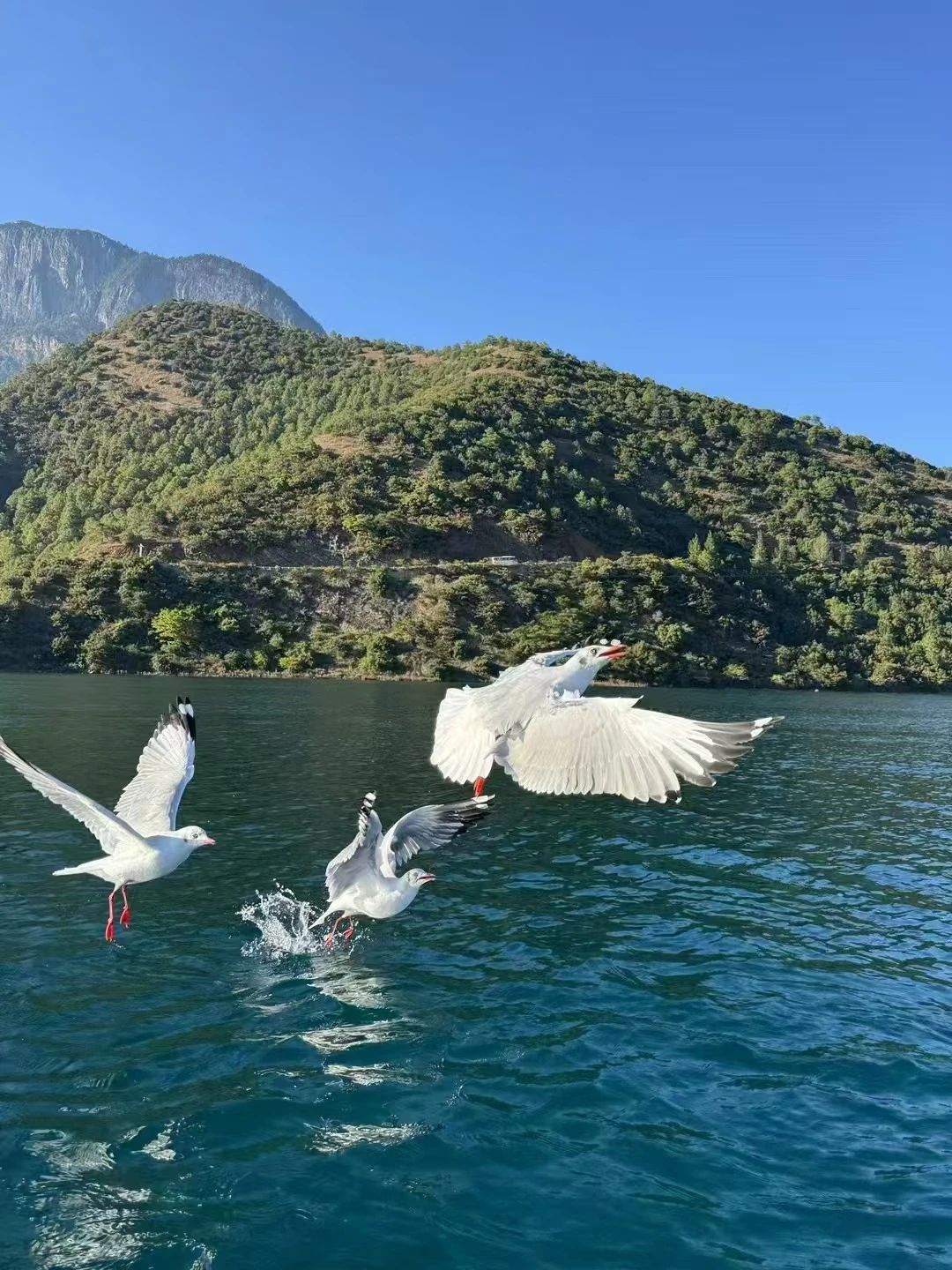 2003网站太阳集团