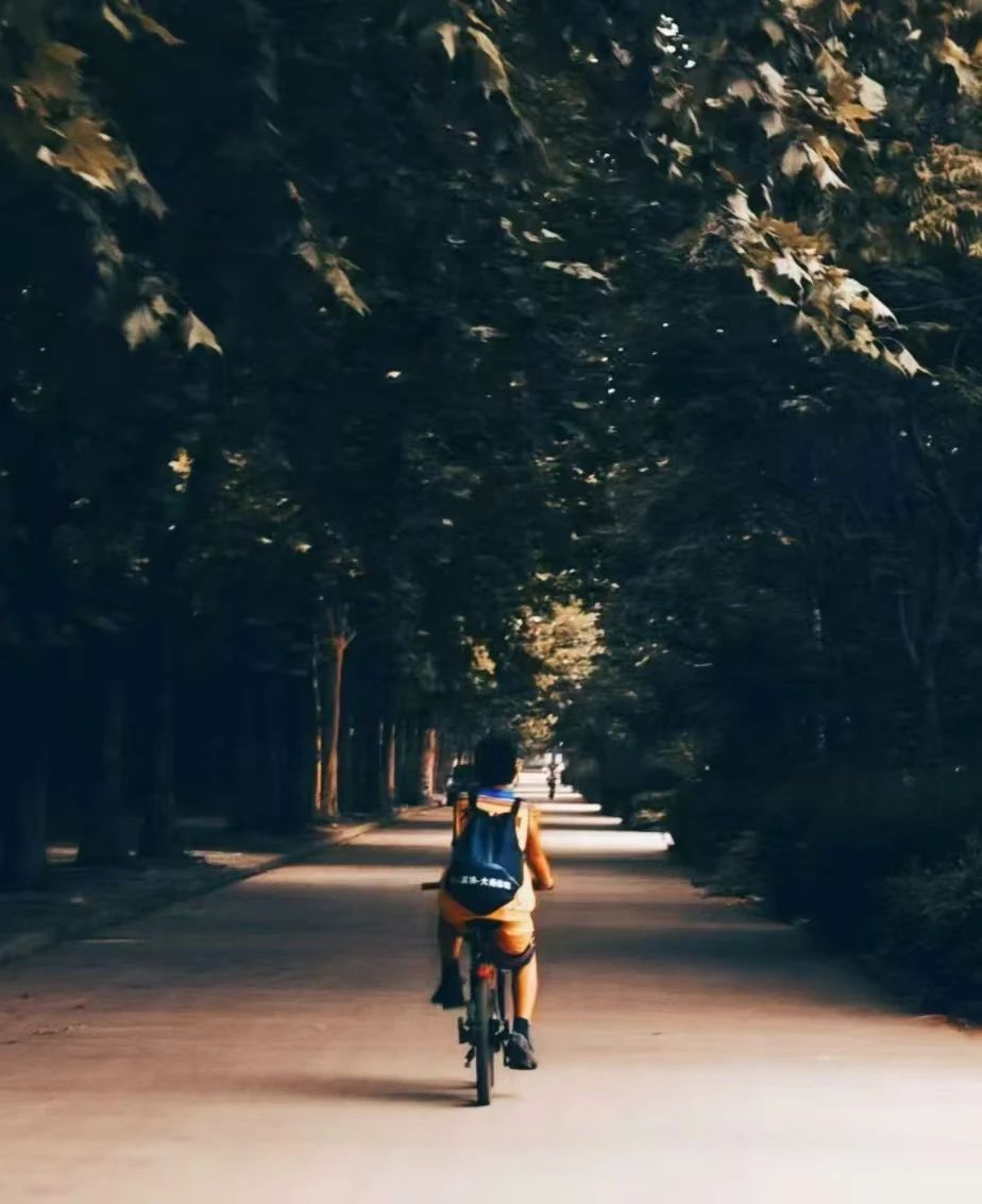 2003网站太阳集团