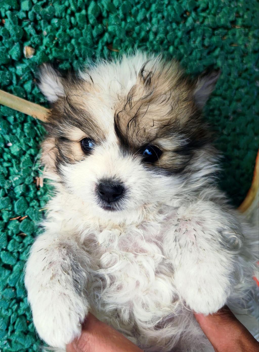 2003网站太阳集团