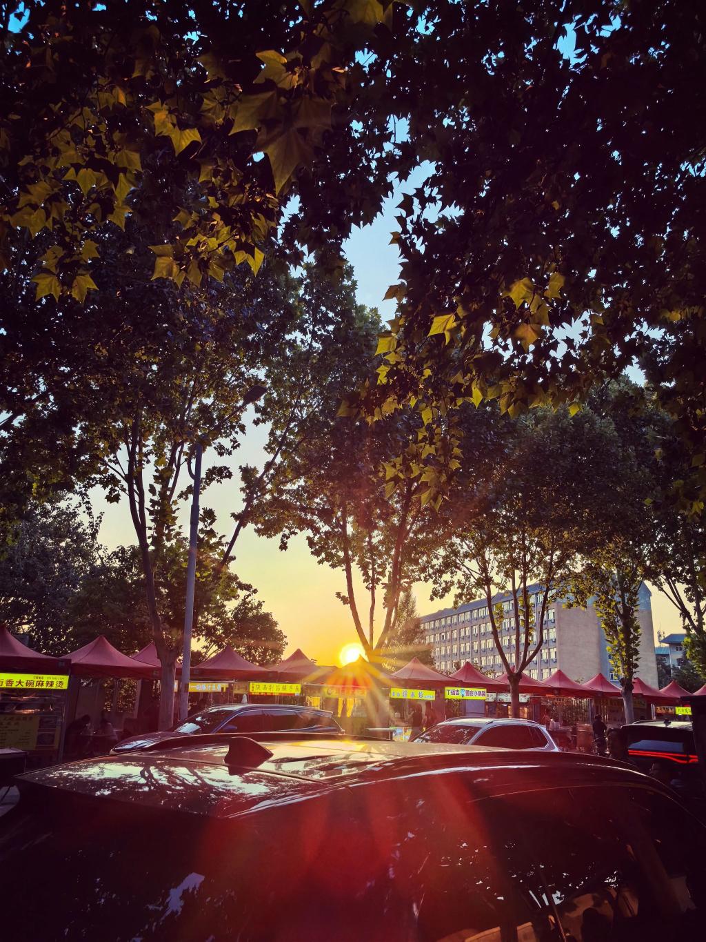 2003网站太阳集团