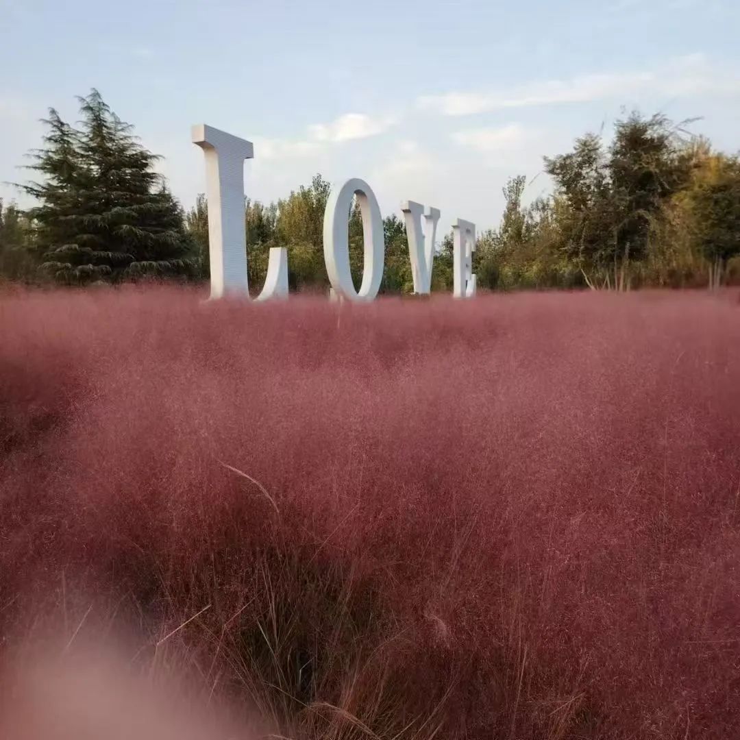 2003网站太阳集团