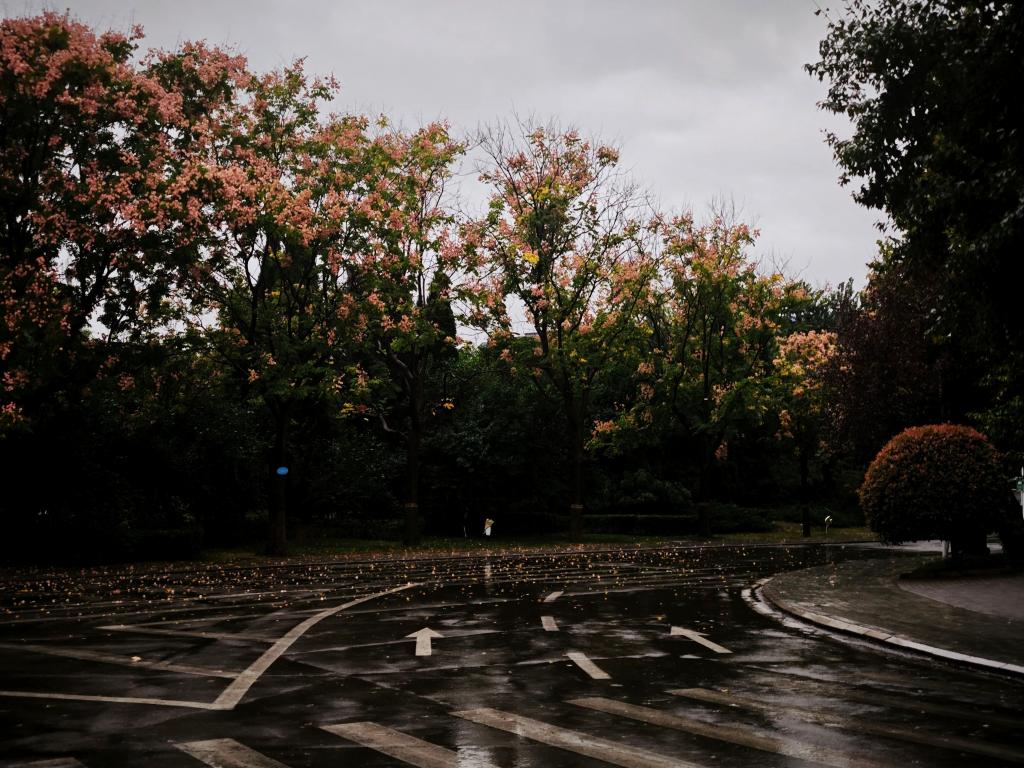 2003网站太阳集团