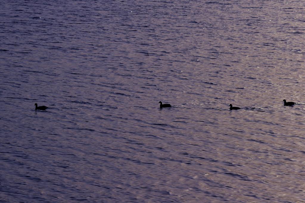 2003网站太阳集团