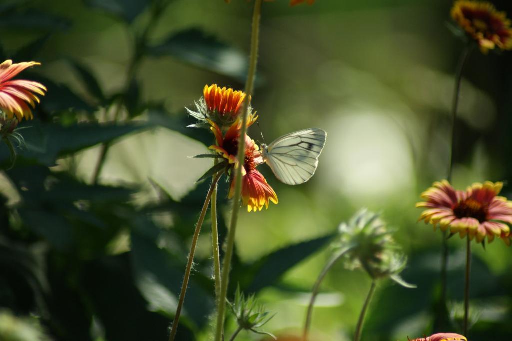 2003网站太阳集团