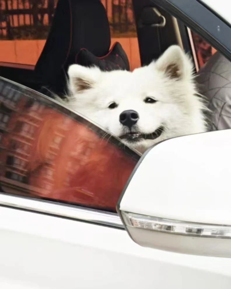 2003网站太阳集团