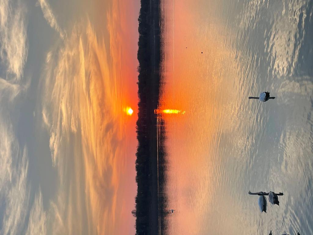 2003网站太阳集团