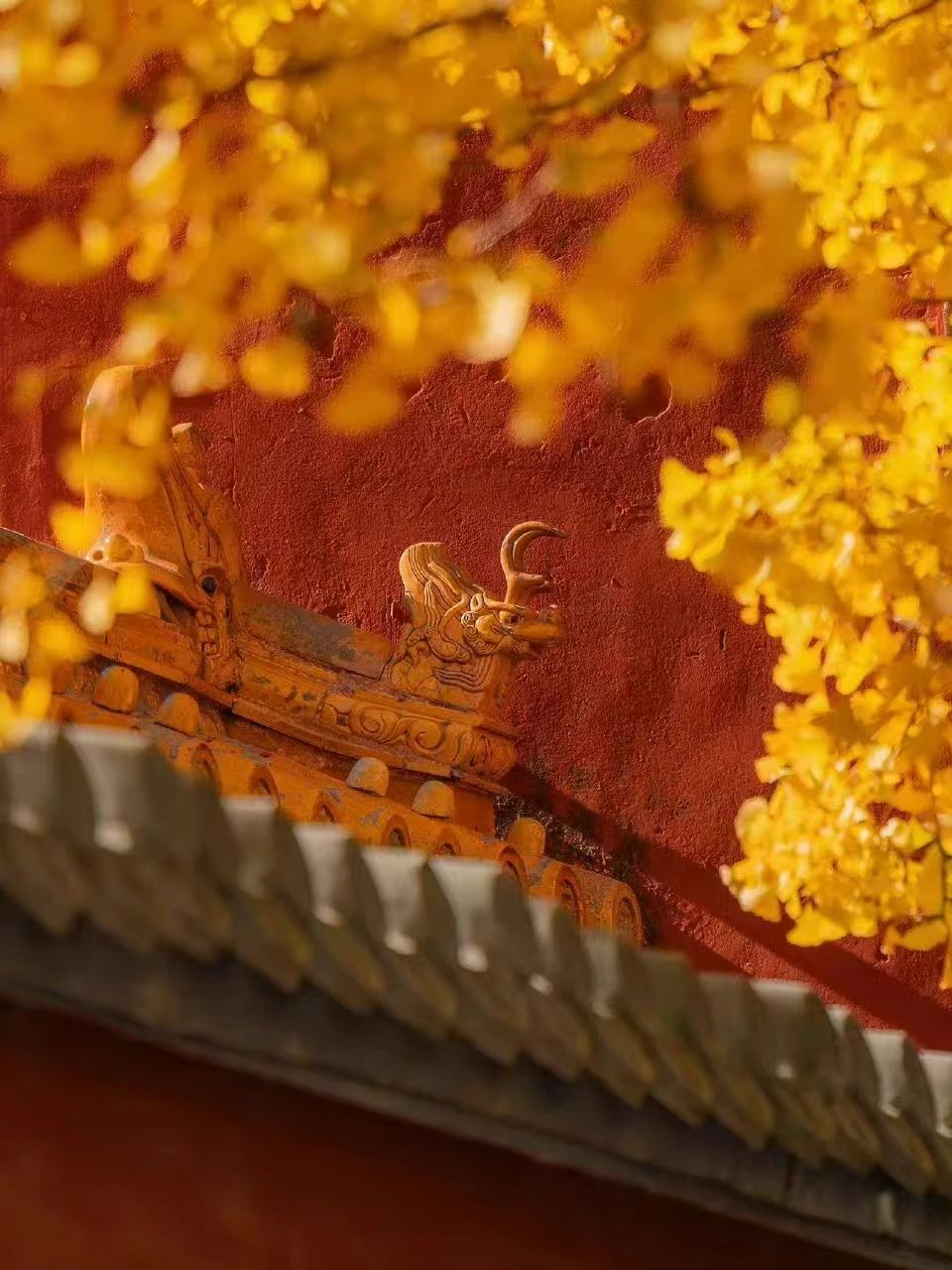 2003网站太阳集团