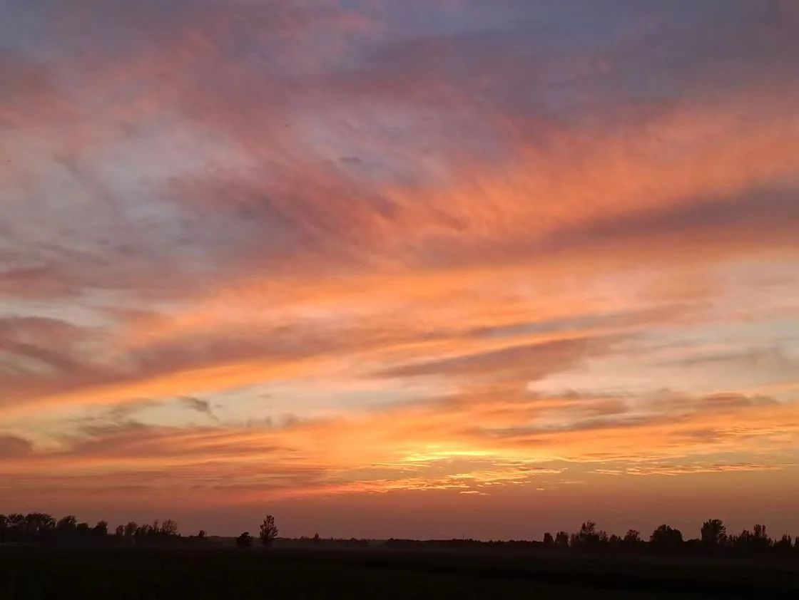 2003网站太阳集团