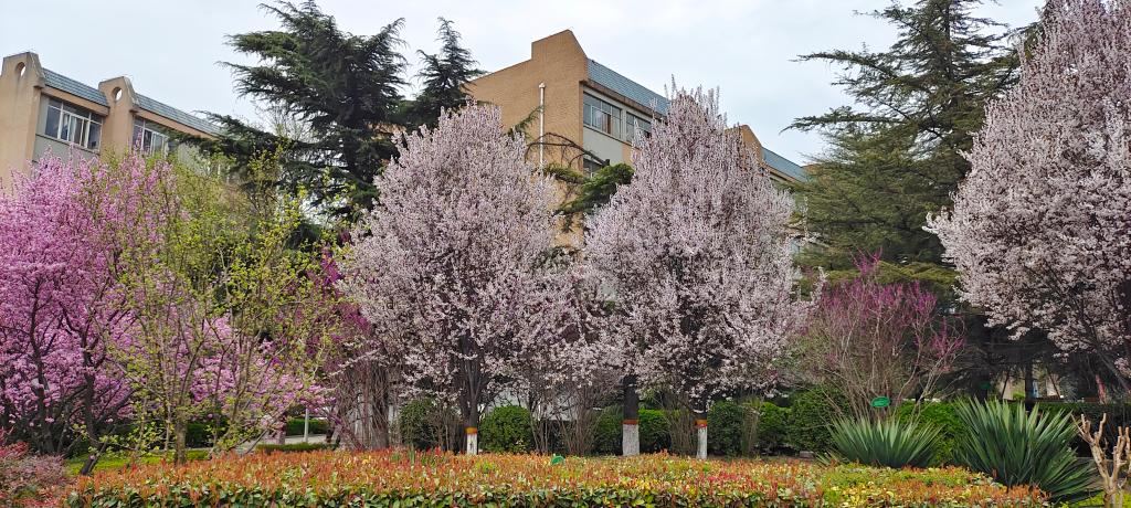 2003网站太阳集团