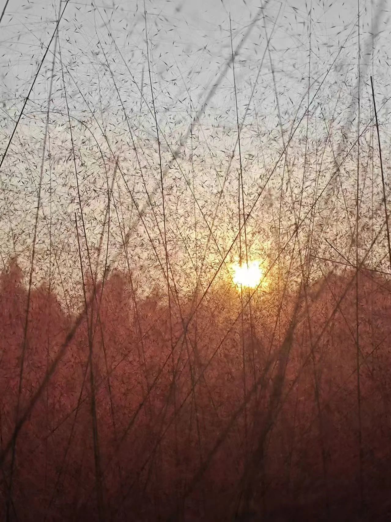 2003网站太阳集团