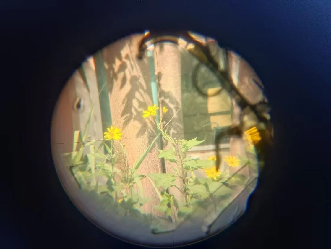 2003网站太阳集团