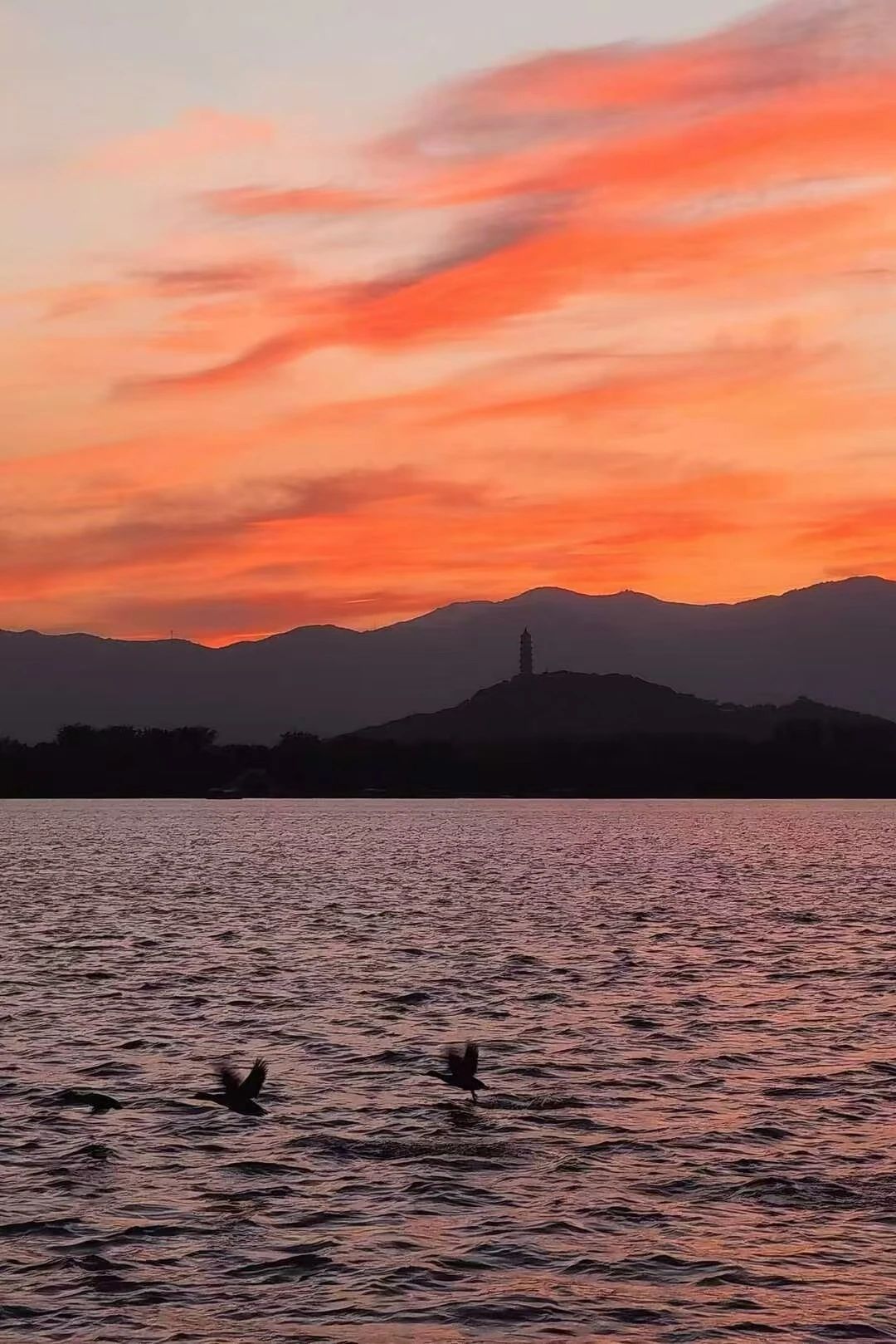 2003网站太阳集团